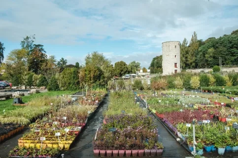 Campus Saint-Antoine, Formation Horticulture, avec le donjon