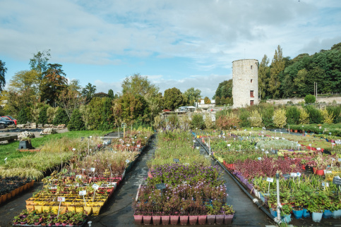 Campus Saint-Antoine, Formation Horticulture, avec le donjon