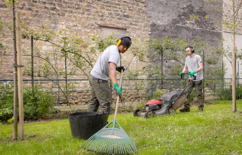 Jeune -entretien espaces verts
