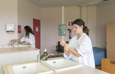 CAP Service à la personne et vente se lave les mains- SAPVER