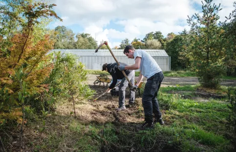 Entretiens espaces verts